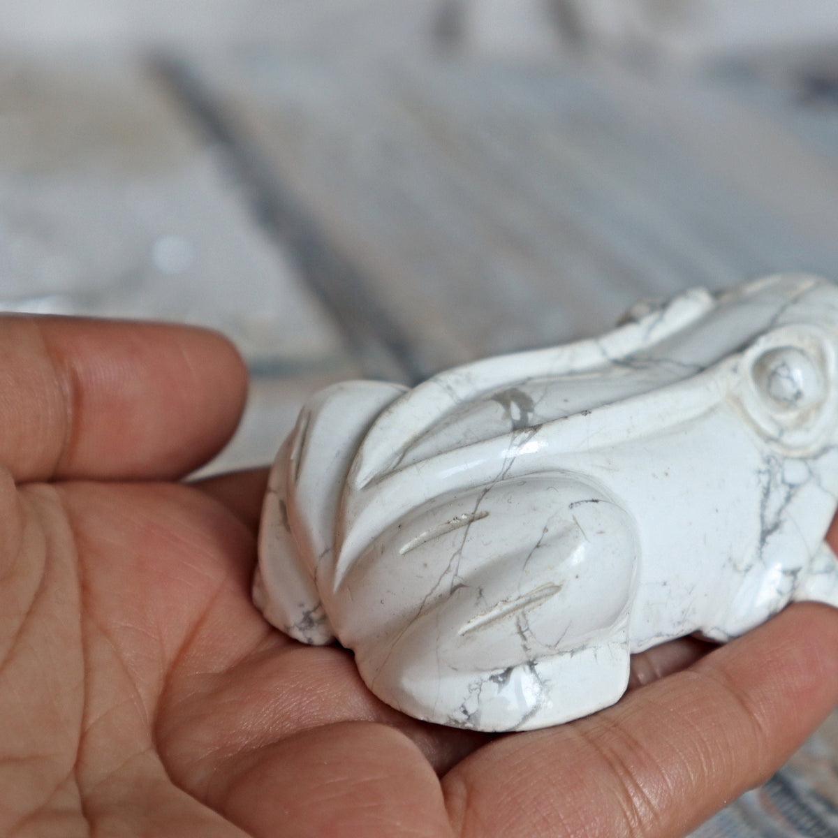 White Howlite Frog Green Crystal Frog for Wealth Abundance Lucky Stone