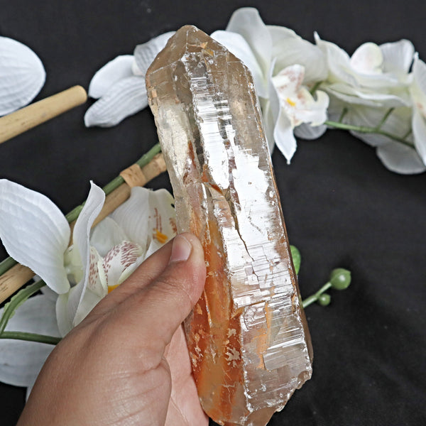 Himalayan Quartz with iron oxide Large 6.75 inches, 2 inches thick, High Vibration Wealth Crystal