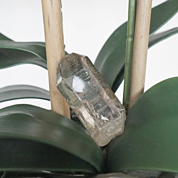 Himalayan Crystal Point 56mm 2.2 inch, Super Clear Gem Grade Optical Quartz Smoky tone Healing Crystal, H3