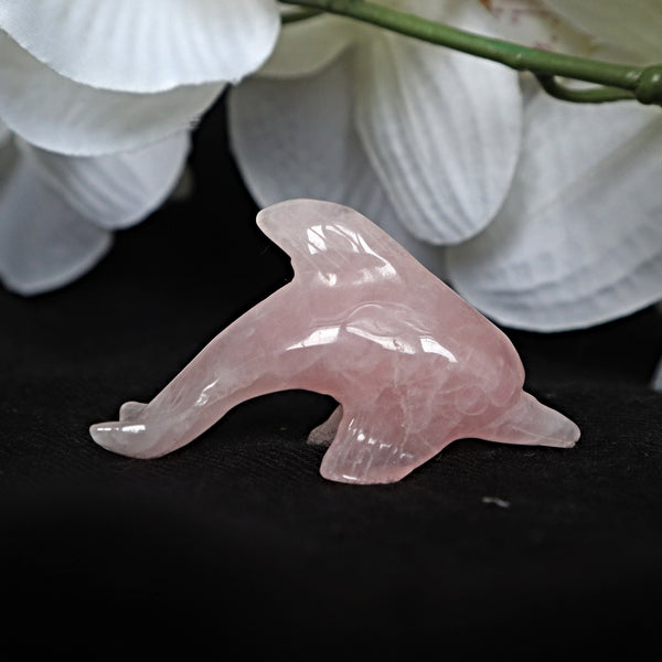 Rose Quartz Dolphin