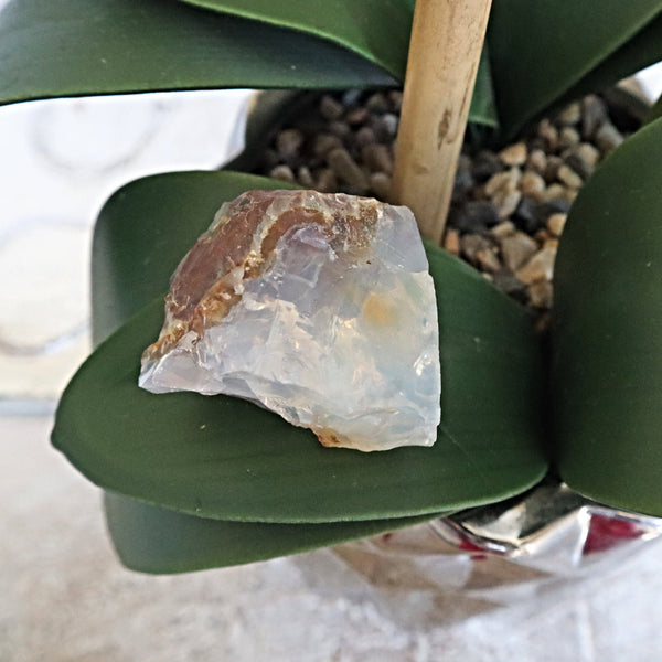 Opal Butte Specimen Oregon
