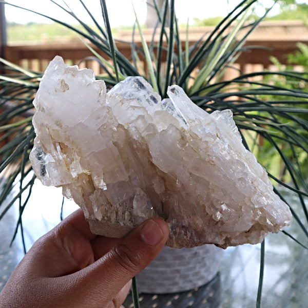 Himalayan Faden Quartz Crystal Cluster, FM7
