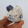 Lapis Lazuli Specimen terminated crystal on feldspar matrix