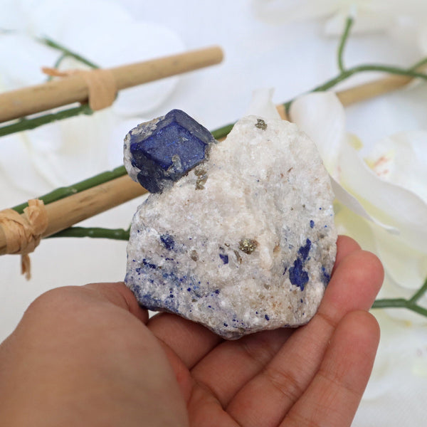 Lapis Lazuli Specimen terminated crystal on feldspar matrix