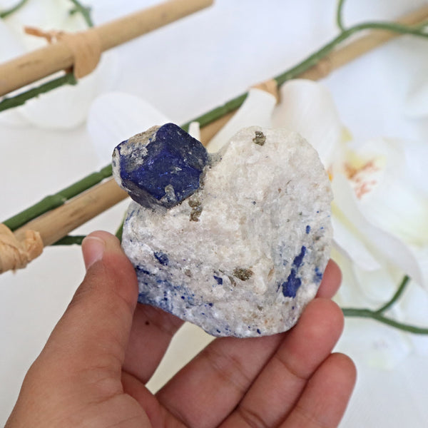 Lapis Lazuli Specimen terminated crystal on feldspar matrix