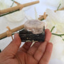 Morganite on Black Tourmaline Crystal Mineral Specimen