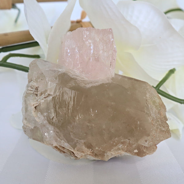 Large Pink Morganite Crystal Specimen on Quartz matrix 3.3 inch