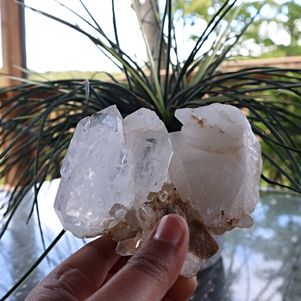 Himalayan Faden Quartz Crystal Cluster, FM7