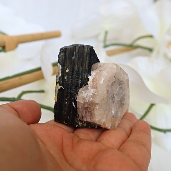 Morganite on Black Tourmaline Crystal Mineral Specimen