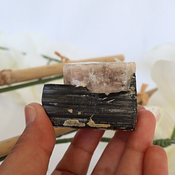 Morganite on Black Tourmaline Crystal Mineral Specimen