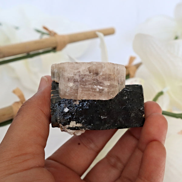 Morganite on Black Tourmaline Crystal Mineral Specimen