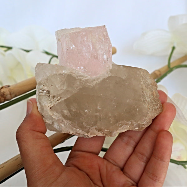 Large Pink Morganite Crystal Specimen on Quartz matrix 3.3 inch