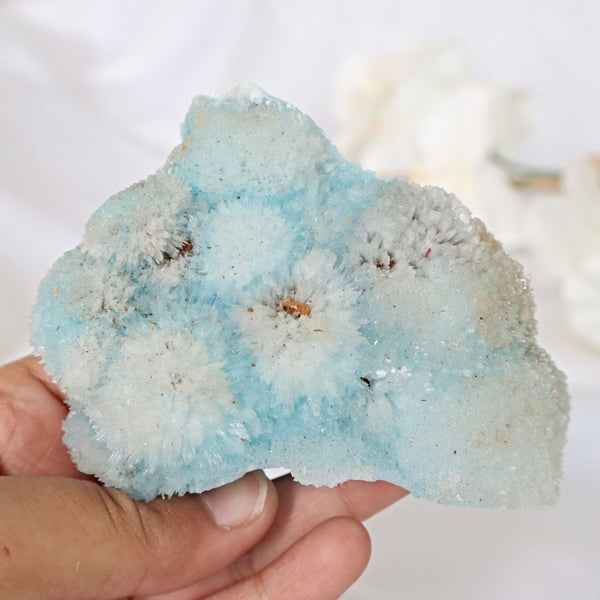 Blue Aragonite Mineral Specimen 3.4 inch