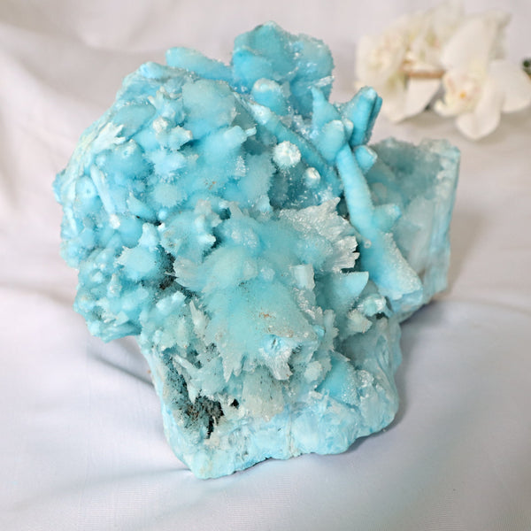 Xtra Large Blue Aragonite Specimen 10.4 inch 11 Lbs | Ultra Large Raw Blue Aragonite Crystal Cluster Stone