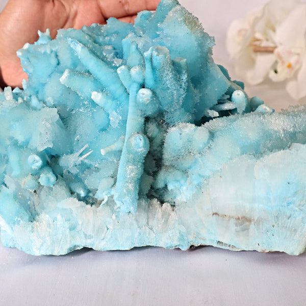 Xtra Large Blue Aragonite Specimen 10.4 inch 11 Lbs | Ultra Large Raw Blue Aragonite Crystal Cluster Stone