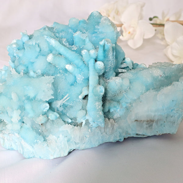 Xtra Large Blue Aragonite Specimen 10.4 inch 11 Lbs | Ultra Large Raw Blue Aragonite Crystal Cluster Stone