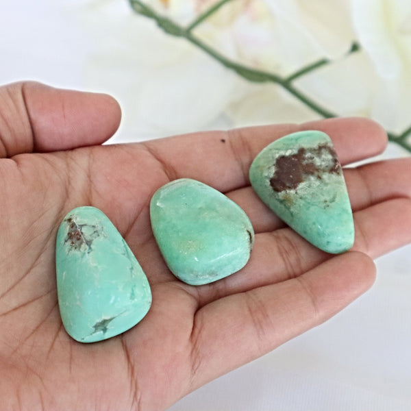 Chrysoprase Stone Large 1.5 inch 30mm